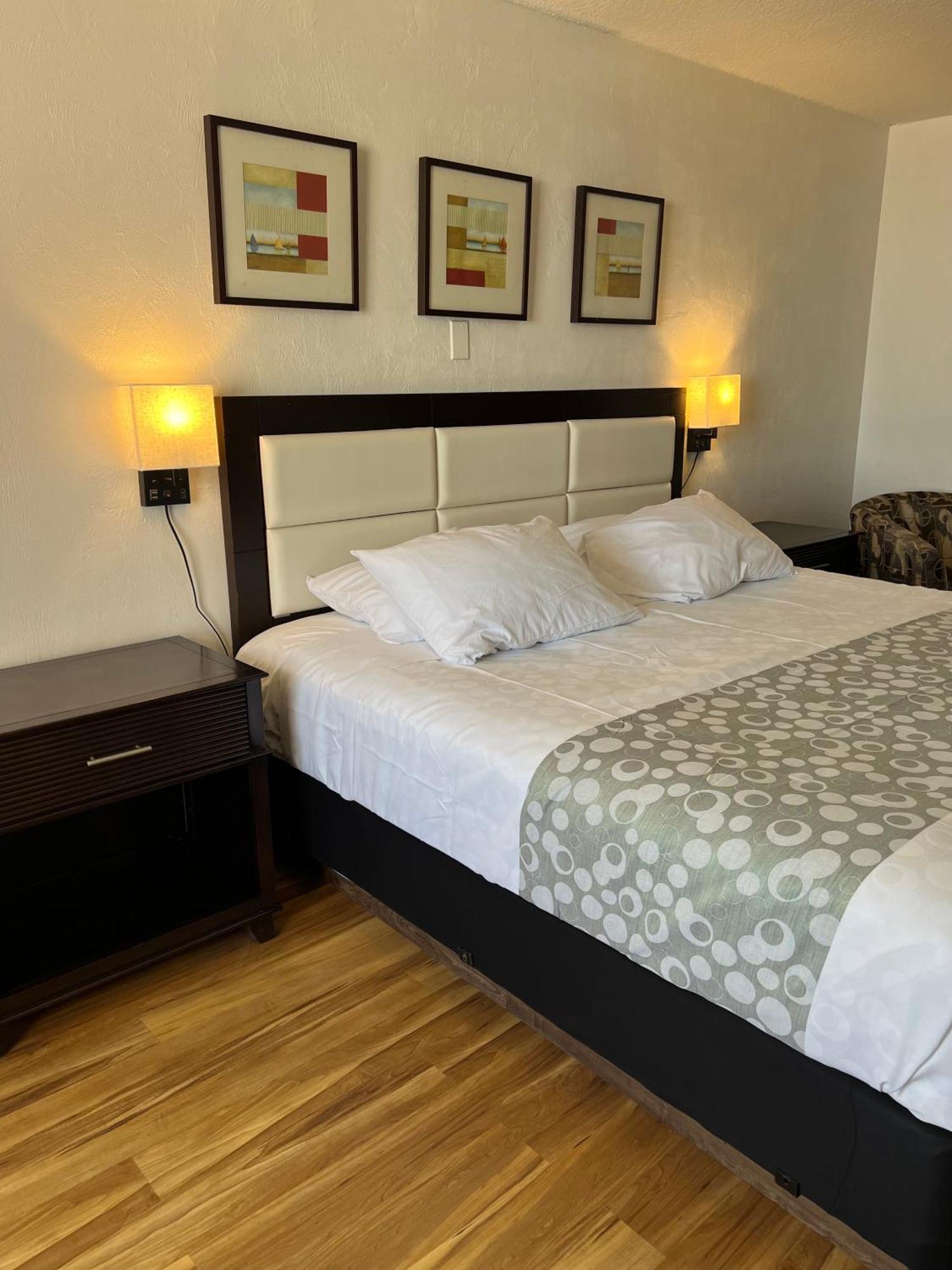 Flamingo Inn Beachfront - Дейтона-Бич Экстерьер фото