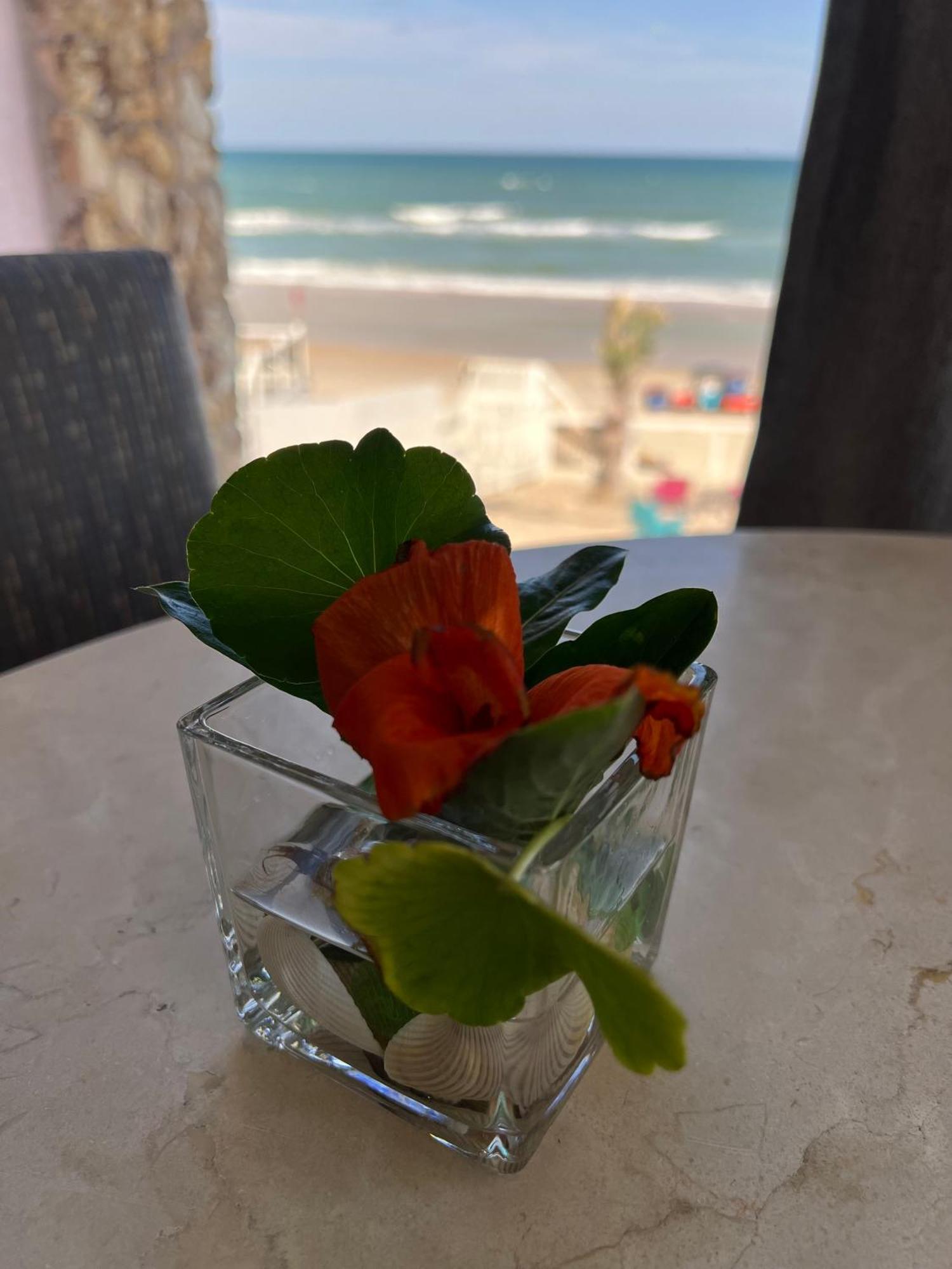 Flamingo Inn Beachfront - Дейтона-Бич Экстерьер фото